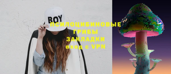 apvp Касимов