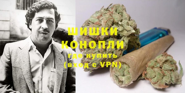 ГАЛЛЮЦИНОГЕННЫЕ ГРИБЫ Карпинск