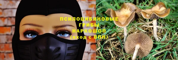 ГАЛЛЮЦИНОГЕННЫЕ ГРИБЫ Карпинск