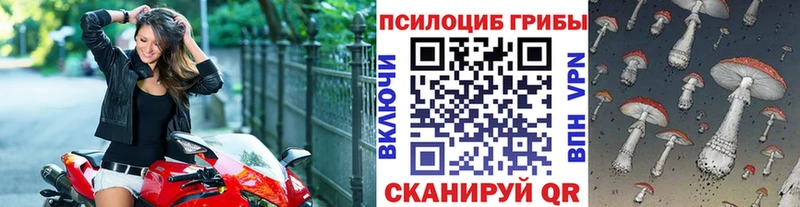 Галлюциногенные грибы GOLDEN TEACHER  Купить где  Урай 